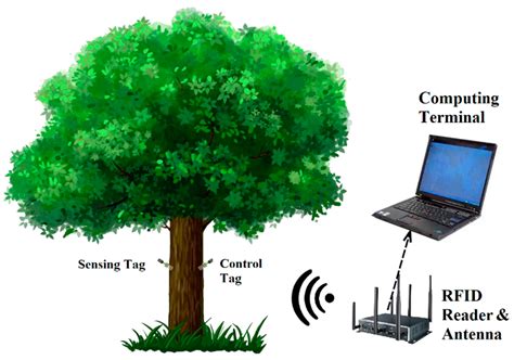 Living Tree Moisture Content Detection Method Based on  